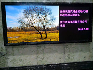 汽博金貿(mào)時代3棟 P3室內(nèi)全彩